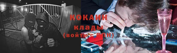 PSILOCYBIN Алексеевка