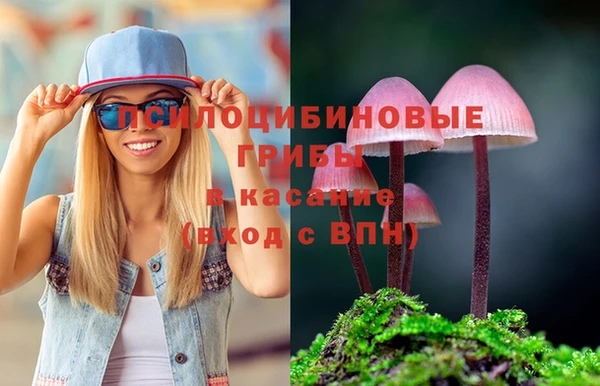 PSILOCYBIN Алексеевка
