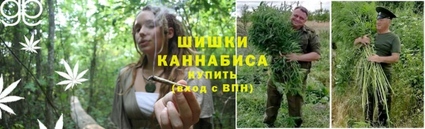 PSILOCYBIN Алексеевка