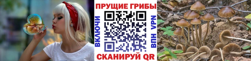 дарнет шоп  Феодосия  Псилоцибиновые грибы мухоморы 