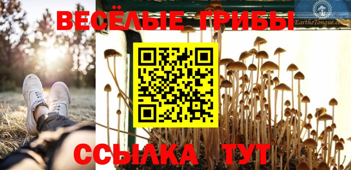 Псилоцибиновые грибы мухоморы  Вход с VPN  Феодосия 